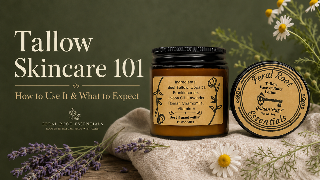 Golden Haze tallow face and body lotion styled with lavender and chamomile for a Feral Root Essentials skincare guide
