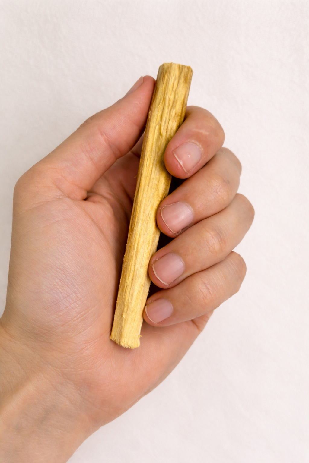 Hand holding a long, thin piece of Palo Santo against a plain background