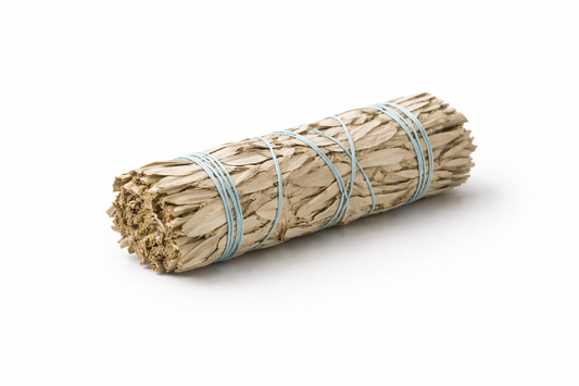 Bundled sage stick on a white background