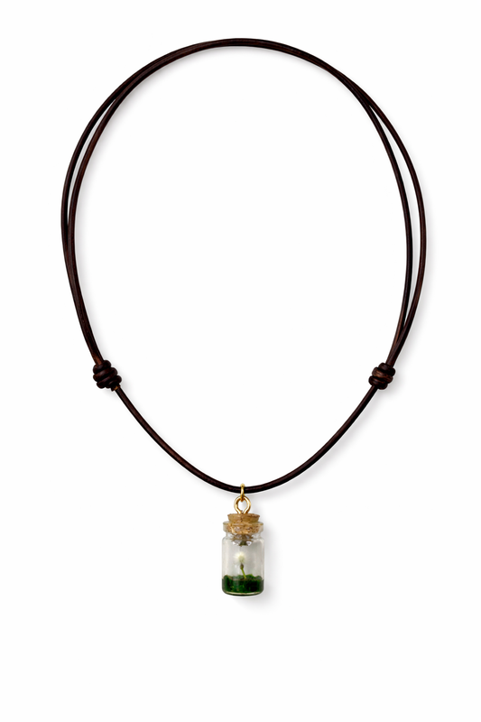 Wishful Thinking Necklace | Glass Jar + Seed Pod